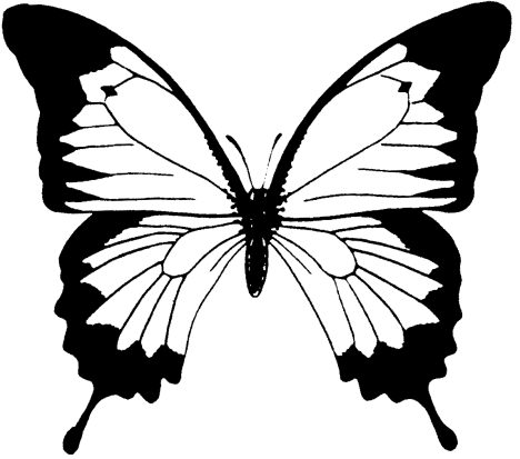 Butterfly Coloring Page - Dr. Odd
