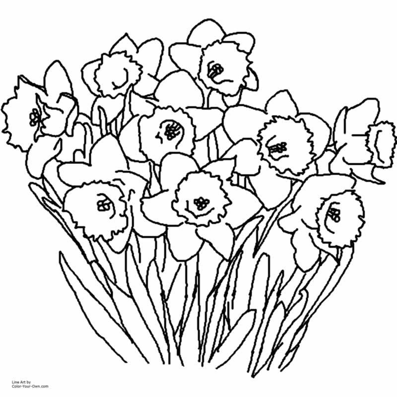 Spring Coloring Pages 2018- Dr. Odd